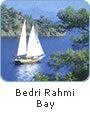 Bedri Rahmi Bay